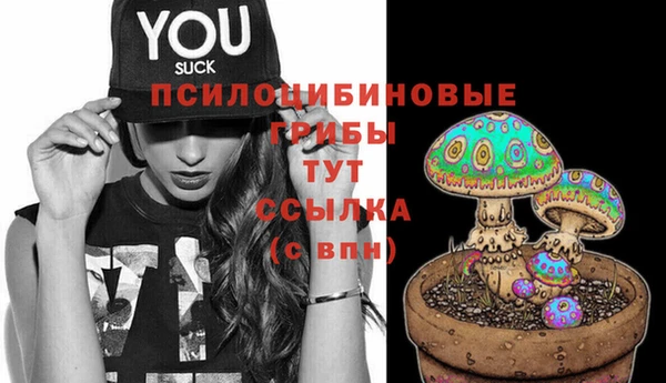 прущая мука Карталы