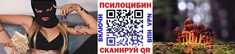 Купить закладки  Верхотурье  Галлюциногенные грибы прущие грибы 